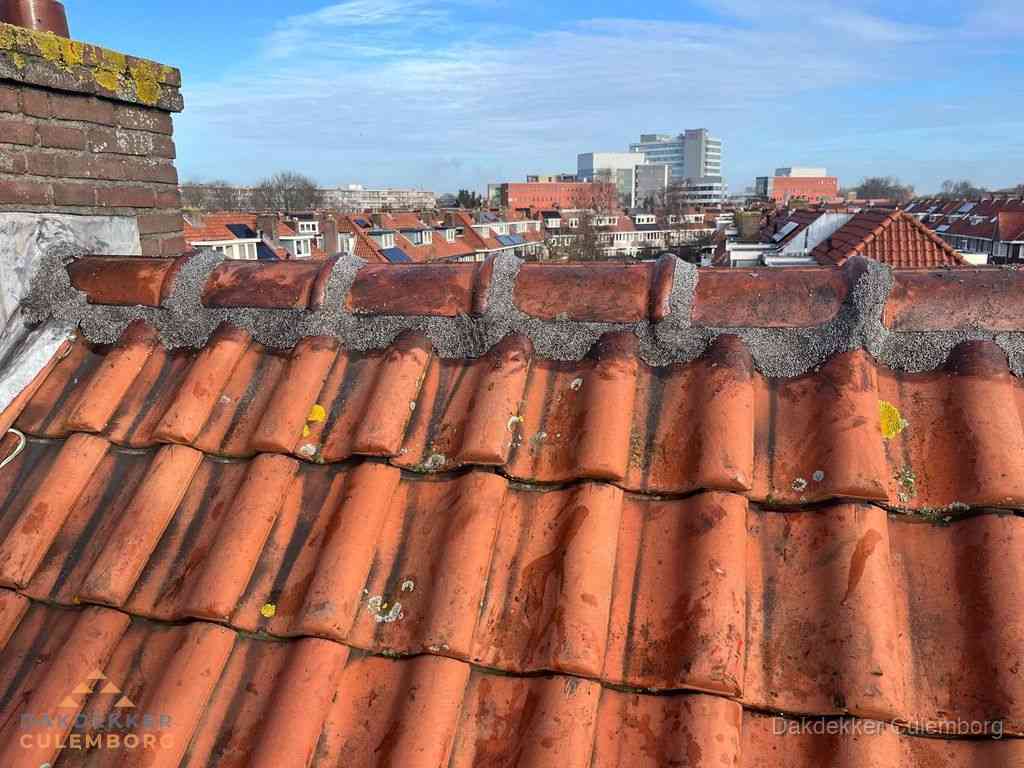 Culemborg Daken Renoveren Culemborg Daken Renoveren